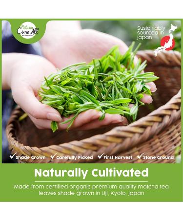 Organic Japanese Culinary Matcha Powder - 1st Harvest Grade, USDA Certified, 12 Oz - Boost Metabolism, Immunity, Lower Cholesterol & Blood Sugar - Buy Online on GoSupps.com