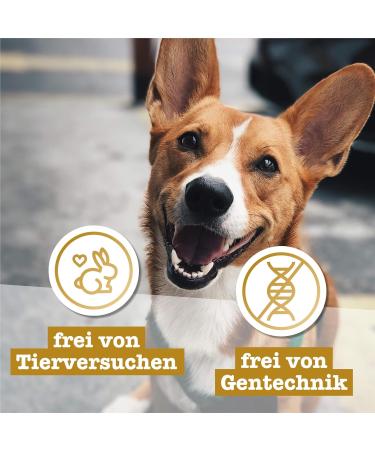 Chewies Maxi Meat Stripes for Dogs - 100% Beef Air-Dried Sugar-Free Cereal-Free - 150g D rrfleisch - Buy Online on GoSupps.com