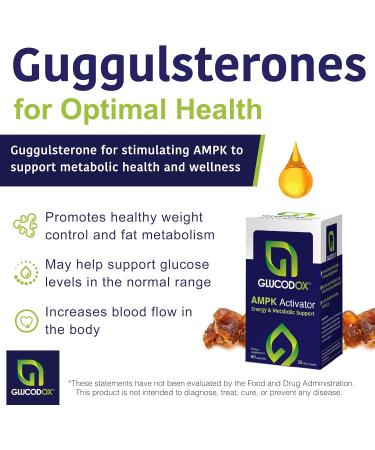 Volt03 Turmeric Curcumin (60 Capsules) + GlucodOX AMPK Activator (60 Capsules) Complete Wellness Bundle for Joint Health Metabolic Balance Energy & Immune Support with Organic Ingredients - Buy Online on GoSupps.com