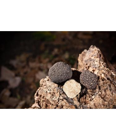 Buy 9x Rubio Truffle Chips - Vegan Gluten-Free Spanish Potato Chips Large Snack Pack (125g) - Enjoy Delicious Crunch! - Buy Online on GoSupps.com