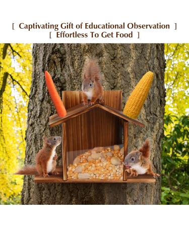 LgowithU Squirrel Feeder Wood Squirrel Feeders for Outside Winter Durable Box Easy to Fill with Removable Front Panel for Corn Peanuts Nuts - Buy Online on GoSupps.com