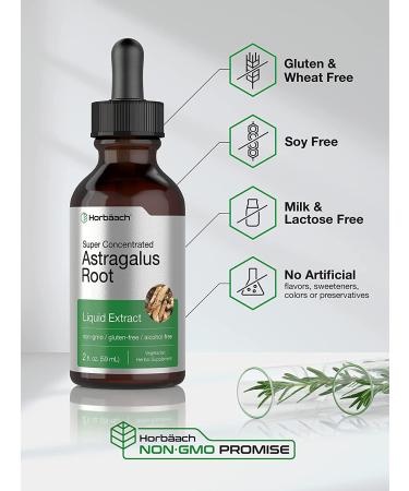 Astragalus Root Extract | 2 oz Super Concentrated Tincture | Alcohol-Free, Vegetarian, Non-GMO, Gluten-Free | Horbaach - Buy Online on GoSupps.com