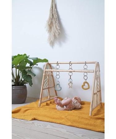 BIBSS LOOPS 12-Pack - BPA-Free Food Safe Teethers for 0-36 Months | Blush Woodchuck Ivory - Buy Online on GoSupps.com