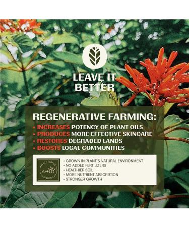 Thrive Natural Bakuchiol Serum - Vegan Collagen Boosting Formula with Hyaluronic Acid for Brighter, Firmer Skin - Made in USA - Buy Online on GoSupps.com