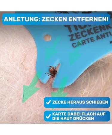 Bluepet 2x Tick Card with Magnifying Glass - Effective Tick Remover for Humans & Pets - First Aid Solution for Dogs & Cats - Buy Online on GoSupps.com