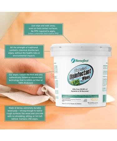 Benefect Botanical Disinfecting Wipes - (250 Wipe Count) Natural  No Residue - Antibacterial Disinfectant  Multi-Surface Cleaning and Sanitizing Wipes 250 Count (Pack of 1) - Buy Online on GoSupps.com
