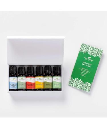 Shop Plant Therapy Wellness Essential Oil Gift Set - 6 Popular Blends for Immunity & Relaxation | International Shipping Available - Buy Online on GoSupps.com