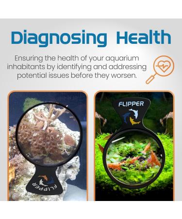 FL!PPER Flipper DeepSee Magnified Magnetic Aquarium Viewer 4" STD 4" - Buy Online on GoSupps.com