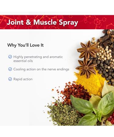 Physician's Strength PainMist | 1 fl oz | Healthy Inflammation Support | Non-GMO | International Shipping Available - Buy Online on GoSupps.com