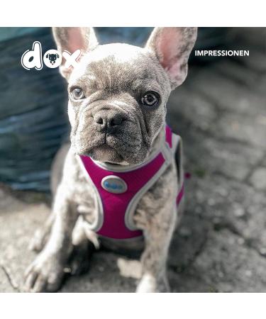 DDOXX Reflecting Airmesh Step-In Dog Harness Adjustable Pink Harness for All Sizes | M (Neck: 26-36 cm Breast: 36-50 cm) International Shipping Available - Buy Online on GoSupps.com