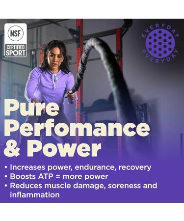 Gnarly Nutrition Creatine Powder - Vegan Creapure NSF Certified 5g Creatine Monohydrate for Optimal Recovery & Sports Nutrition (15.87oz - Buy Online on GoSupps.com