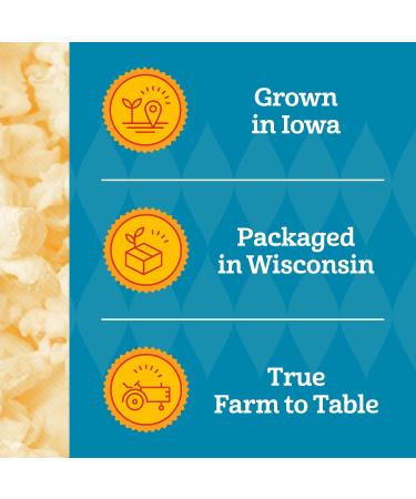 Franklins Gourmet Organic Popcorn Kernels - 28oz Tub | All Natural, Made in USA | Authentic Movie Theater Taste | USDA Certified | 1-Pack - Buy Online on GoSupps.com