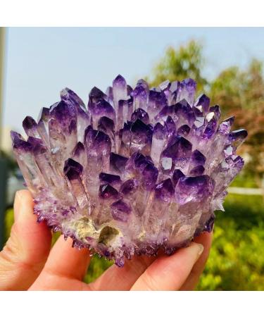 Natural Amethyst Cluster Ore Demagnetization Stone Purification Decoration Can be Used for (Size : 350-400g) ningxiao - Buy Online on GoSupps.com