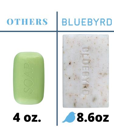 BlueByrd Soap Co. Exfoliating Essential Oil Soap Variety Set - 5-Pack Gift Box with Vegan Bars in Cucumber Mint, Lavender Thyme, Orange Clove, Seaweed Eucalyptus Scents - Buy Online on GoSupps.com
