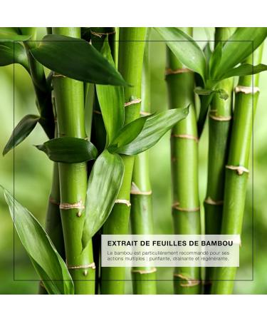 Lothmann Paris - Ol o Vital Nutrivital Curl Amplifier - 100ml - Buy Online on GoSupps.com