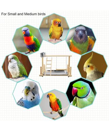 Parrots Playground Gym with Ladder Swings & Feeding Cups - For Parakeets, African Grey, Conures, Cockatiels - Cage Accessories & Toys - Buy Online on GoSupps.com