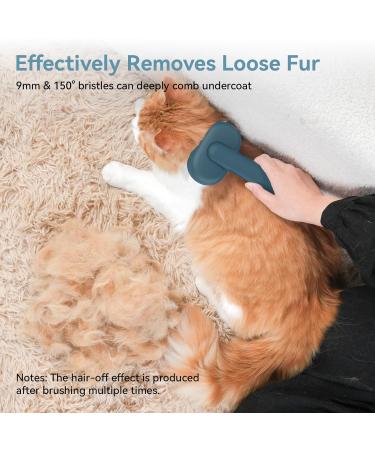 Self-Cleaning Cat Brush for Short-Haired Cats | Aumuca Pet Hair Brush - Removes Mats & Loose Fur (Green) - Buy Online on GoSupps.com