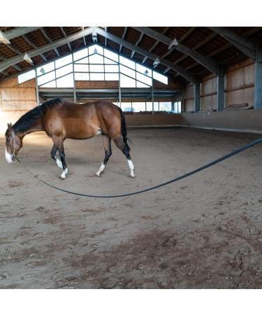 Bio-Line Lunge Softlone - 16mm Biothane Lunging Line with Hand Loop for Equestrian Sport - 5m Black - Buy Online on GoSupps.com