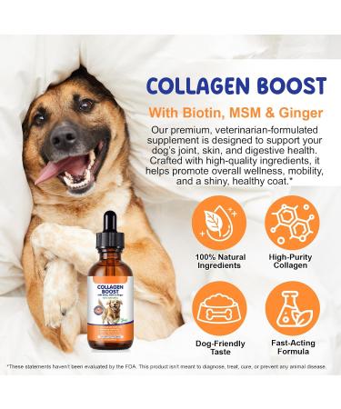 Premium Grass-Fed Liquid Collagen for Dogs - Skin and Coat Support Supplement with Biotin Vitamin C and Hyaluronic Acid - Buy Online on GoSupps.com
