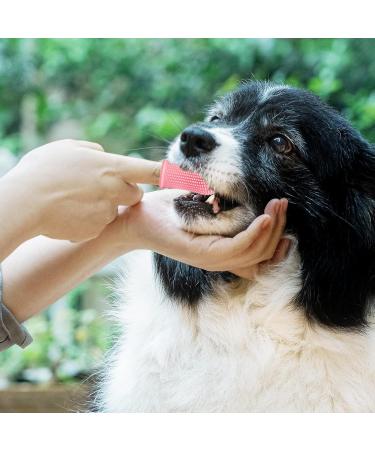 Cat Toothbrush for Cats & Puppies - Finger Toothbrush in Blue & Pink - Essential Pet Care - Buy Online on GoSupps.com