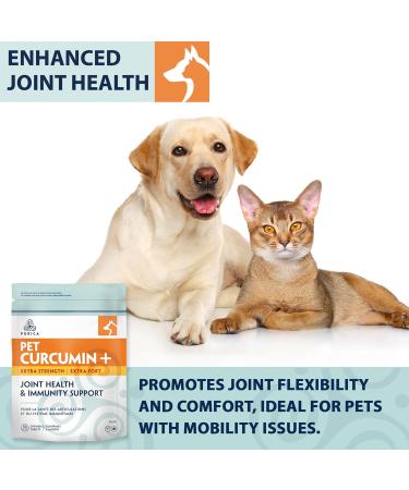 PURICA - Pet Curcumin+ Extra Strength 30 Chewable Tablets - Healthy Flexibility Joint Health and Immunity Support for Dogs Cats and Small Animals - Blend of Potent Antioxidants - Buy Online on GoSupps.com