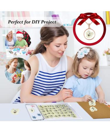 Dried White Pansy Flowers - 60 pcs for Resin Art, Jewelry, Candle Making & Crafts - Buy Online on GoSupps.com