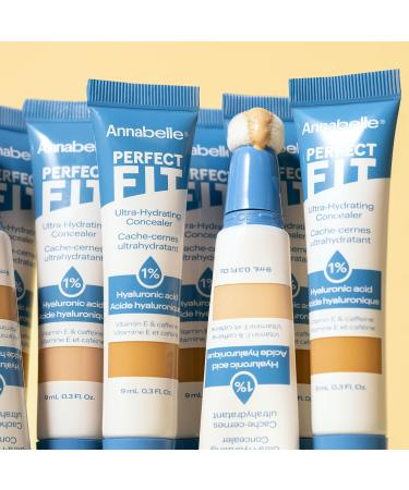 Annabelle Perfect Fit Ultra-Hydrating Concealer Fair with Hyaluronic Acid Waterproof Long-Lasting Cruelty-Free Vegan Oil-Free Paraben-Free Fragrance-Free Non-Comedogenic 9 mL - Buy Online on GoSupps.com
