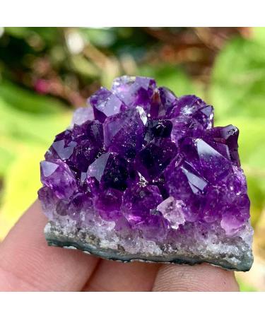 Natural Amethyst geode Quartz Cluster Specimen70-80g Stone Crystal Cluster - Buy Online on GoSupps.com