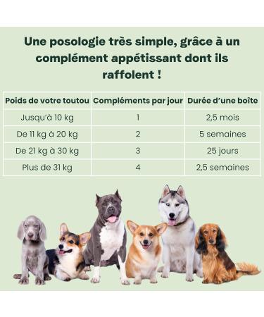 BESTI - Joints | 75 Premium Food Supplements for Dogs | Anti-Arthrosis Improves Joint Mobility and Cartilage | French Brand - Veterinary Formula | With Chicken | 300 GR - Buy Online on GoSupps.com