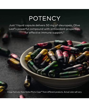 Buy Gaia Herbs Olive Leaf 60 Vegan Liquid Phyto-Caps | Immune Support & Antioxidant - Buy Online on GoSupps.com