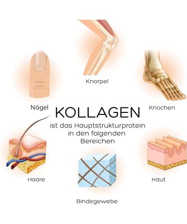 Luondu Beauty Collagen Drinkampull - Anti-Aging Hyaluronic Acid Ampoules (30x2500mg) with Biotin Copper Vitamin C Blossom Honey & Gel e Royale - Buy Online on GoSupps.com