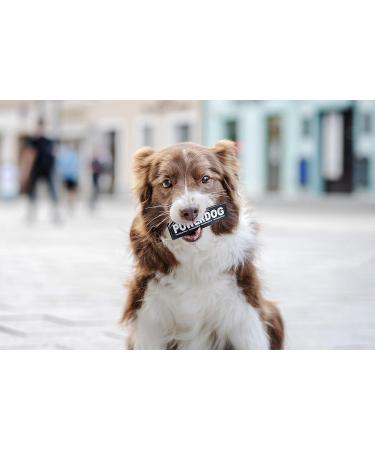 Buy Julius-K9 162LR-K-36944 Velcro Label MONSTER Small - Black | International Shipping Available - Buy Online on GoSupps.com