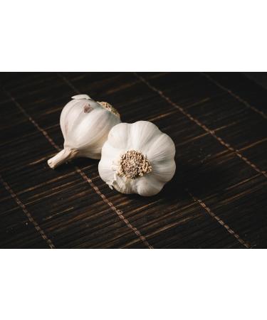 Harry Harvey Minced Garlic Paste 250g - Ready-to-Use Crushed Puree - Buy Online on GoSupps.com