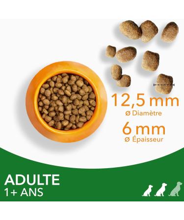 IAMS Vitality Adult Dog Croquette Small and Medium Breeds Lamb - Buy Online on GoSupps.com