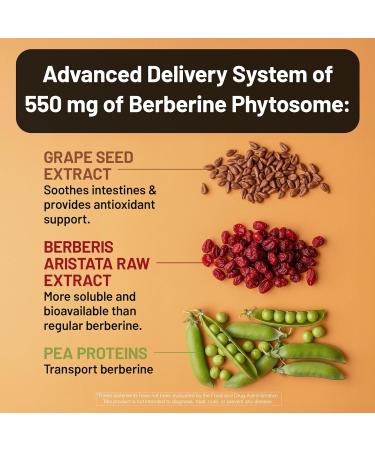 NatureWise Berberine 1000mg - Berberine Phytosome + HCI + Turmeric & Digestive Enzymes - Supports Healthy Blood Sugar + GI + Metabolism + Cholesterol - Non-GMO USA Manufactured - 30 Day Supply  - Buy Online on GoSupps.com
