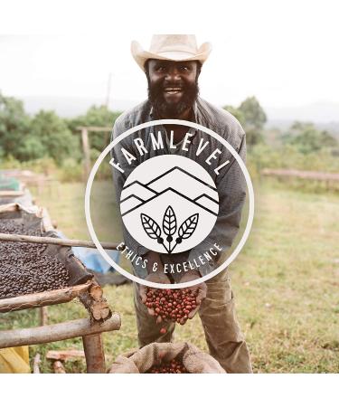 Verve Coffee Roasters 1950 Blend Whole Bean Coffee | Medium Roast Ethiopian Blend | Direct Trade | 12oz Resealable Bag - Buy Online on GoSupps.com