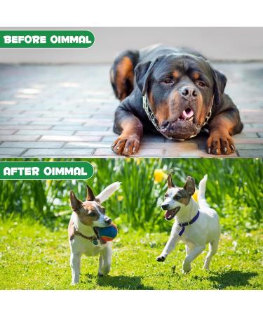 Natural Liquid Dog Wormer for Effective Puppy and Dog Deworming (120ml) - Buy Online on GoSupps.com