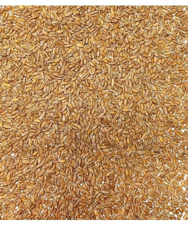  Sabarot Sabarot - Farro 950g - Buy Online on GoSupps.com