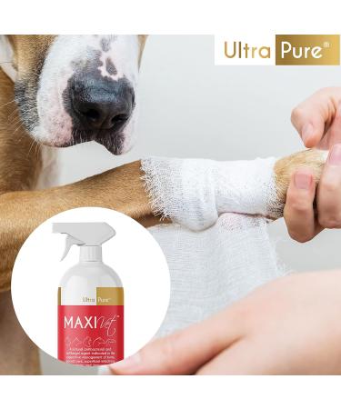 MaxiVet Wound Spray - Antibacterial and Antifungal Solution with Hypochlorous Acid - 200ml - Buy Online on GoSupps.com