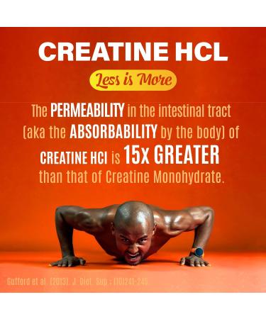 Creatine HCL with Shilajit - Workout Supplement for Men & Women Muscle Builder Endurance Strength Superior to Monohydrate: Instantized for Max Absorption No Load No Bloat - 120 Vegan Caps - Buy Online on GoSupps.com