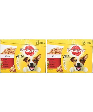 Pedigree Junior Wet Dog Food for Young Dogs and Puppies 2-12 Months Mixed Selection in Jelly 48 Pouches (48 x 100 g) Mixed Selection in Jelly 2.4 kg (Pack of 2) - Buy Online on GoSupps.com