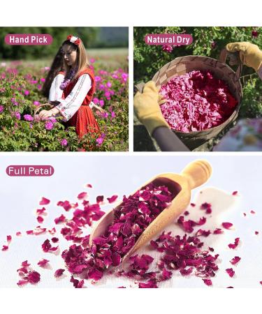 Dried Rose Peatls Whole Dry Roses Flower Buds Edible Natural Pure Organic Roses Herb for Drinking DIY Gift 0.9 oz - Buy Online on GoSupps.com