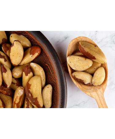 Organic Dry Roasted Brazil Nuts with Himalayan Salt 1lb - Vegan & Kosher Friendly, High Protein & Selenium, Keto-Friendly Snack - No Oil Added, Oven Roasted, Whole Nuts - Bulk Pack of 1 - Buy Online on GoSupps.com