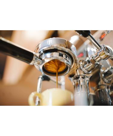 PANAMA GEISHA/CATURRA BLEND NATURAL ROASTED COFFEE BEANS 8oz 227g. - Buy Online on GoSupps.com