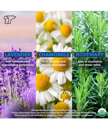 TheraICE Rx Migraine Relief Stick 10ml - Organic Essential Oil Roll-On for Headache Tension - Peppermint, Spearmint, Lavender, Chamomile, Rosemary, Eucalyptus - Metal Roller - USA Made - Buy Online on GoSupps.com