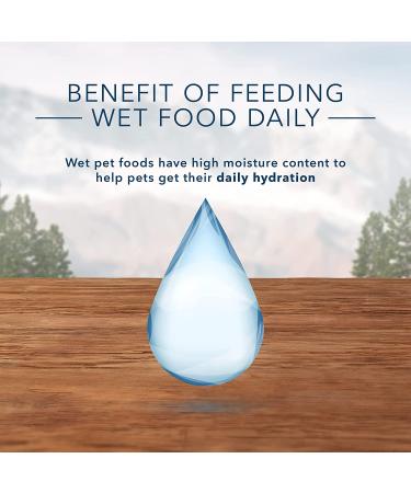 Blue Buffalo Wilderness Senior Wet Dog Food 12.5 oz (Pack of 12) - Turkey & Chicken - Buy Online on GoSupps.com