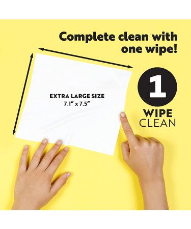 HEROLIFE Intimate Wipes: Plant-Based, pH-Balanced, Biodegradable (4 Packs of 25) - Hypoallergenic Feminine Care - Buy Online on GoSupps.com