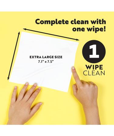 Personal Wipes for Feminine Care - Biodegradable & Plant-Based 40 Single-Use Cleansing Wipes | Travel-Friendly & Large Size - Buy Online on GoSupps.com
