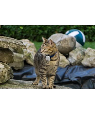 Girafus Pro-Track Goal Tracker for Cats & Dogs | Mini RF Tracker 8G with Battery | Locate Up to 4 Pets Indoors - Buy Online on GoSupps.com