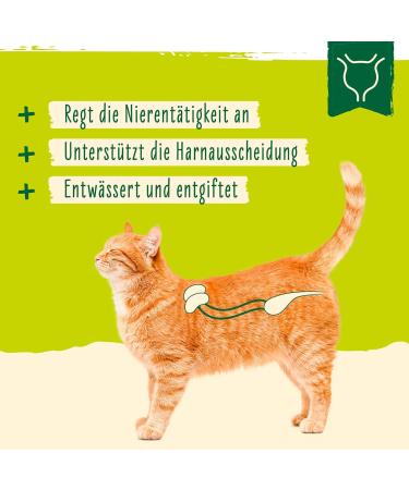 Ida Plus Renal Care Mini Sticks for Cats - Supports Kidney Health & Urine Excretion - 80 pcs - Phosphate & Uremic Toxin Control - Buy Online on GoSupps.com